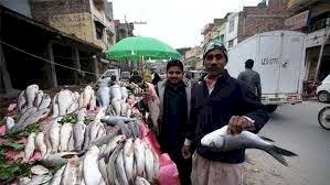 अगर आप सड़क से FISH खरीद रहे हैं, तो यह रिपोर्ट आपको जरूर पढ़ना चाहिए